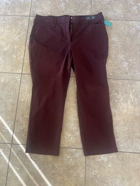 Maurices Straight-Leg Pants in Deep Wine